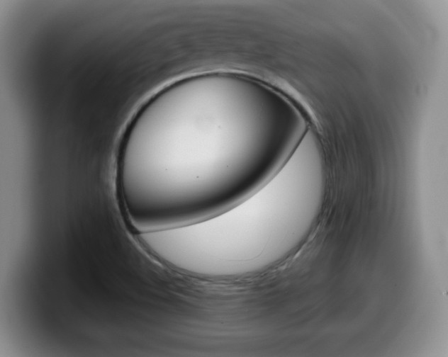 X0000099481508200805090823