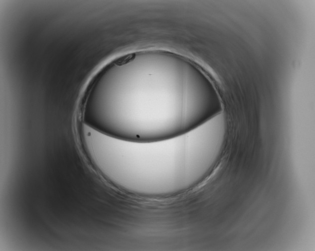 X0000099481510200805090823