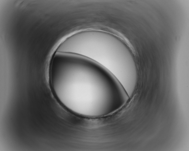 X0000099481512200805090823