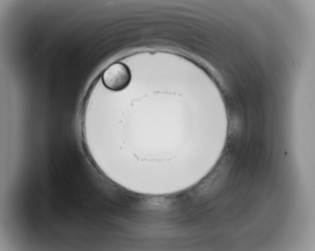 X0000099481514200805090823