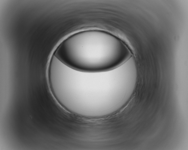X0000099481516200805090823