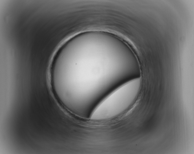 X0000099481517200805090823