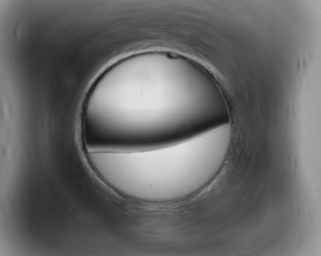 X0000099481518200805090823