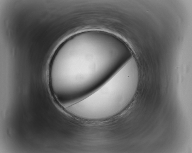 X0000099481519200805090823