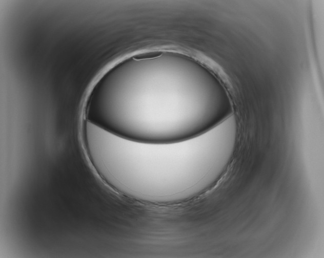 X0000099481520200805090823