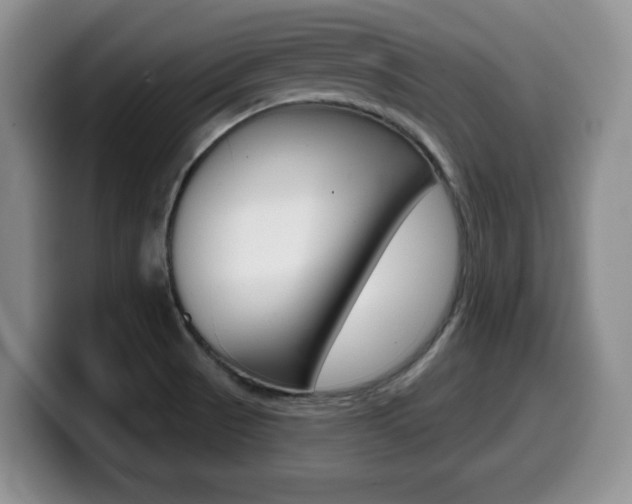 X0000099481521200805090823