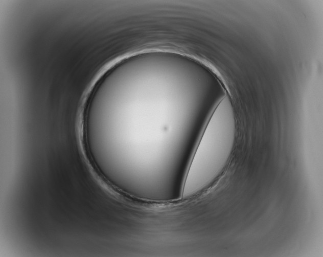 X0000099481523200805090823