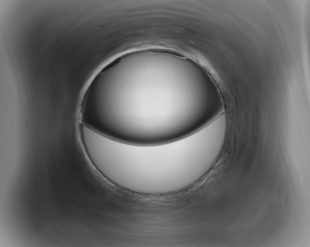 X0000099481524200805090823