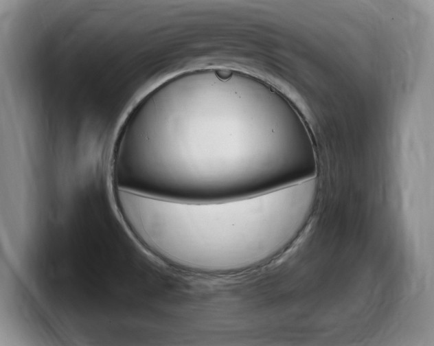 X0000099481525200805090823