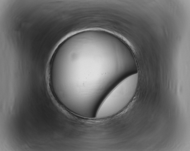 X0000099481526200805090823
