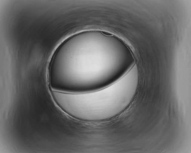 X0000099481527200805090823