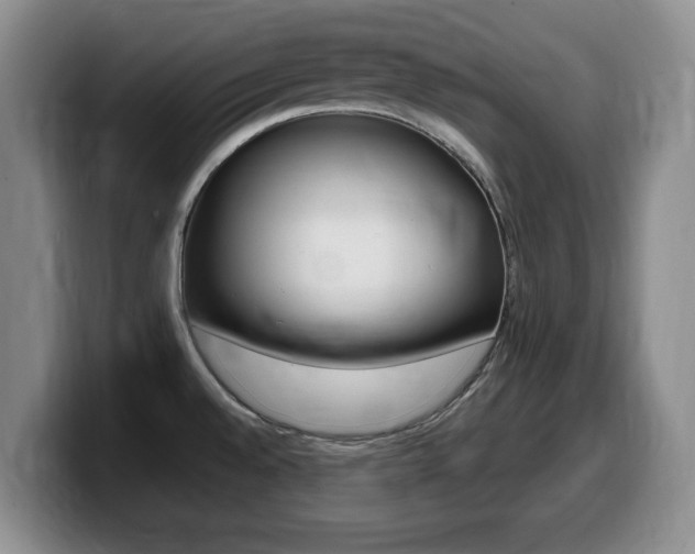 X0000099481528200805090823