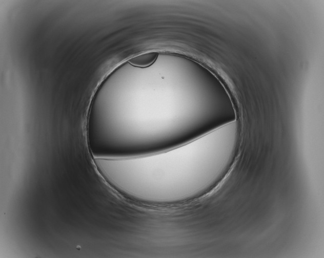X0000099481529200805090823