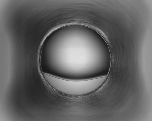 X0000099481530200805090823