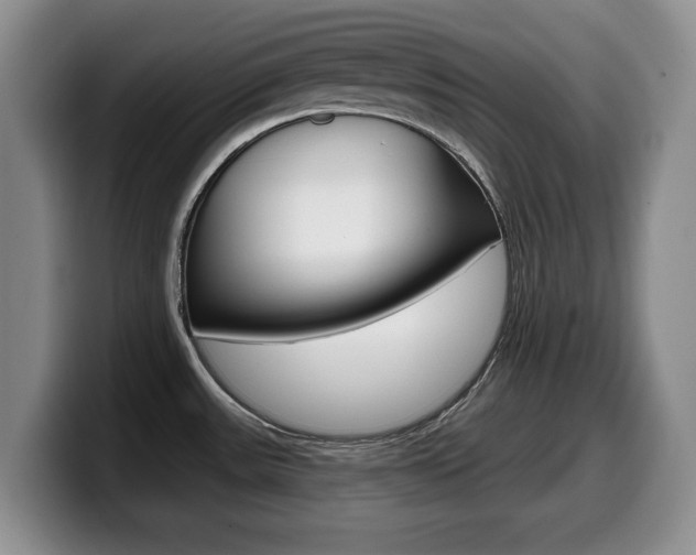 X0000099481531200805090823