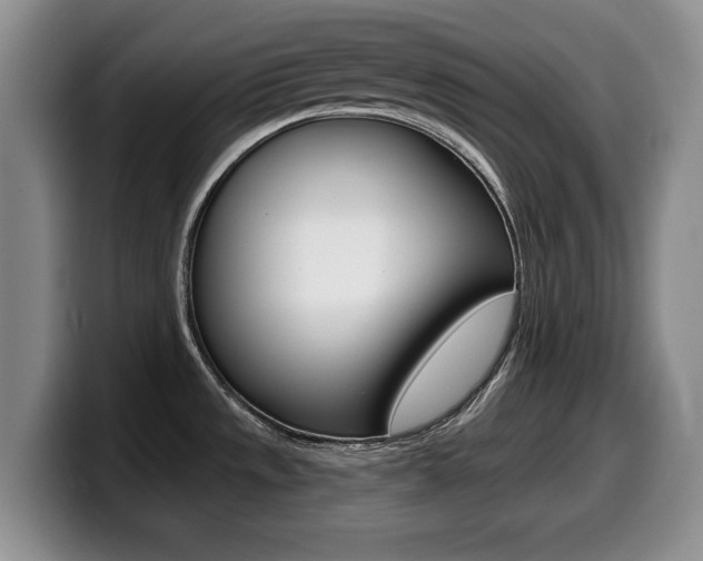 X0000099481533200805090823