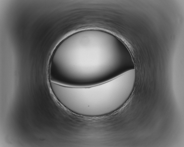 X0000099481534200805090823