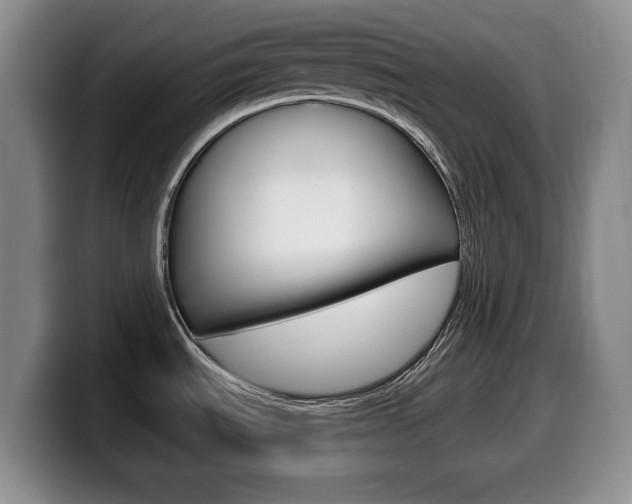 X0000099481535200805090823