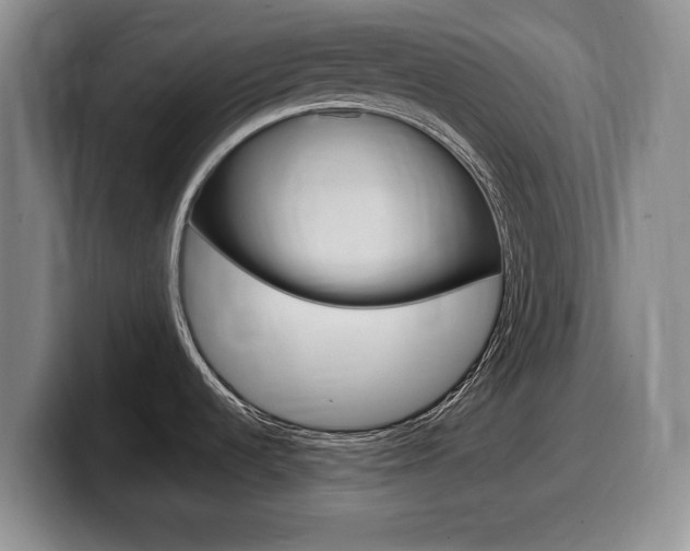 X0000099481536200805090823