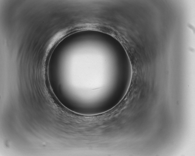 X0000099480006200805091618