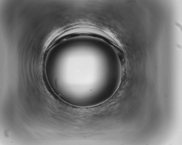 X0000099480007200805091618