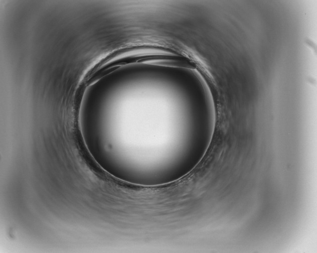 X0000099480012200805091618