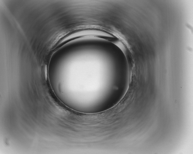 X0000099480013200805091618