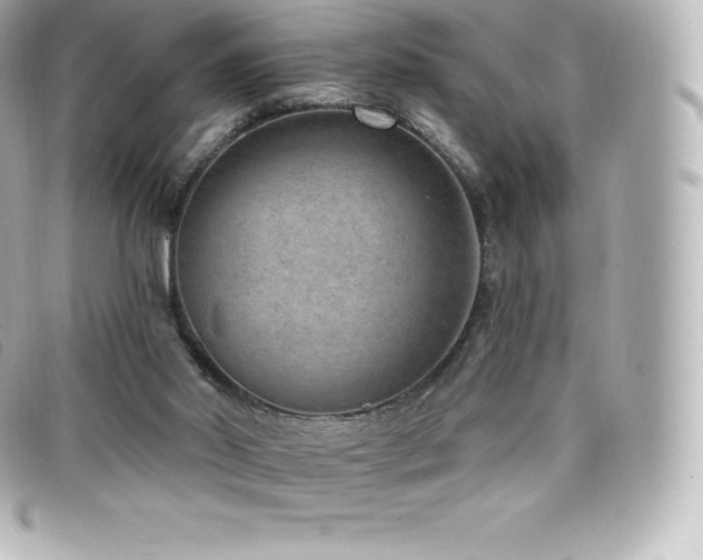 X0000099480014200805091618