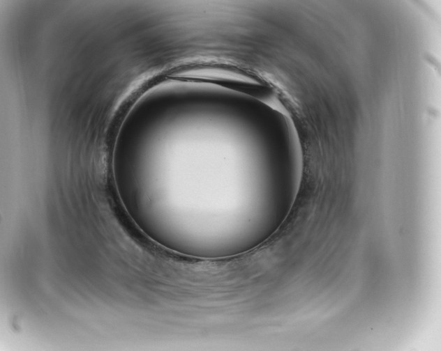 X0000099480016200805091618