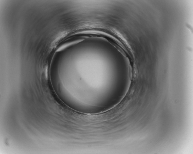 X0000099480019200805091618