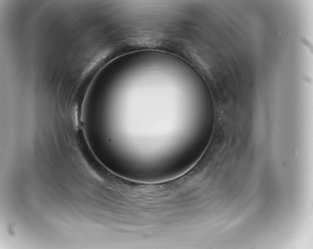 X0000099480020200805091618