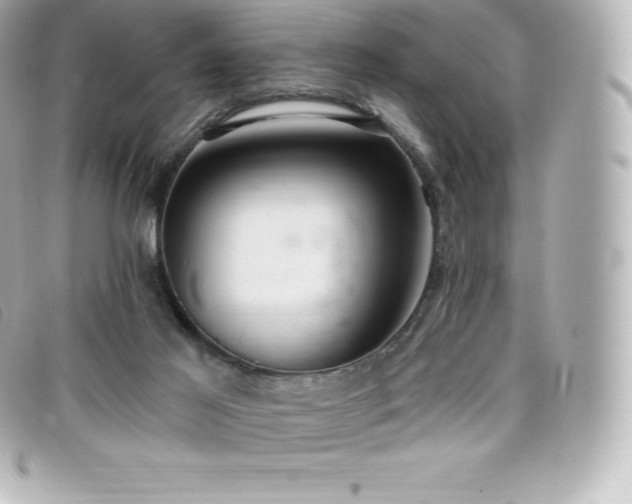 X0000099480021200805091618