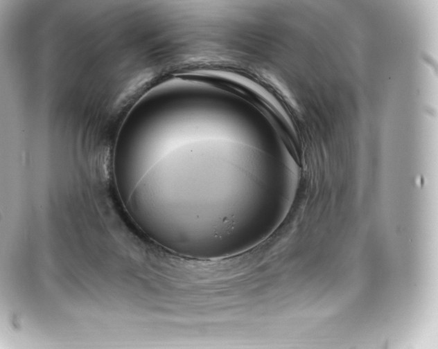 X0000099480023200805091618
