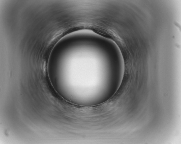 X0000099480024200805091618