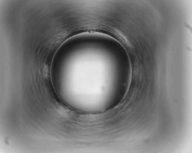 X0000099480025200805091618