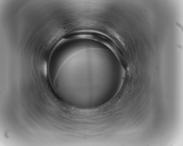 X0000099480027200805091618