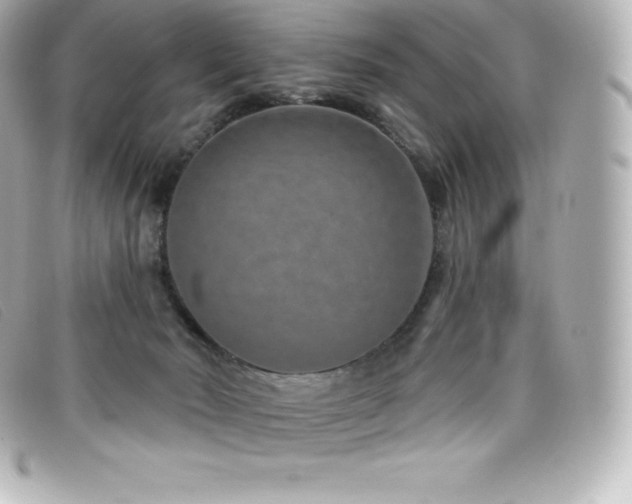 X0000099480030200805091618