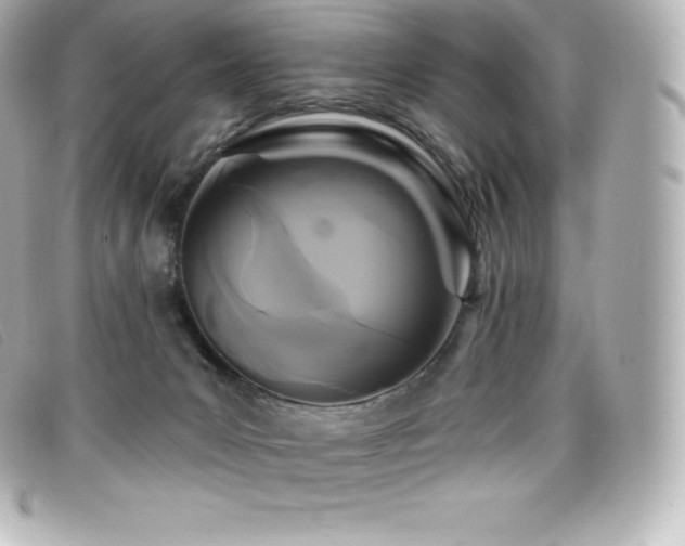 X0000099480031200805091618