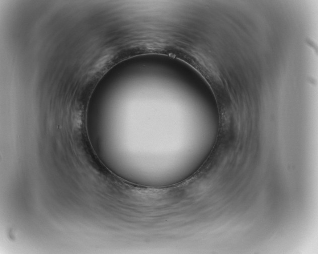 X0000099480032200805091618