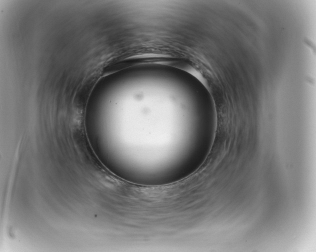 X0000099480033200805091618
