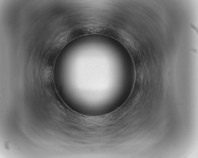 X0000099480034200805091618