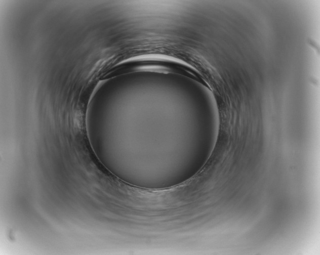 X0000099480035200805091618