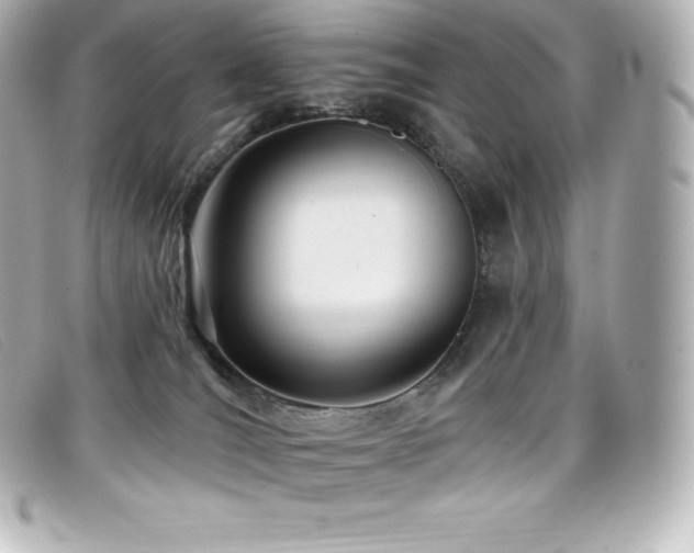 X0000099480036200805091618