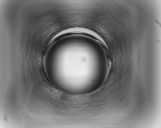 X0000099480037200805091618