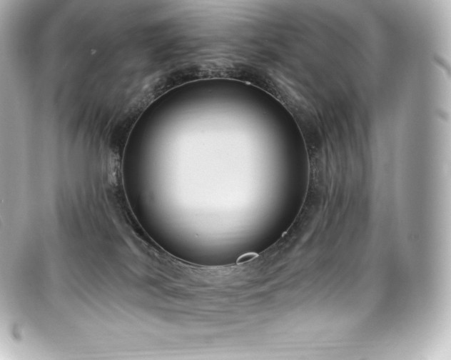 X0000099480038200805091618