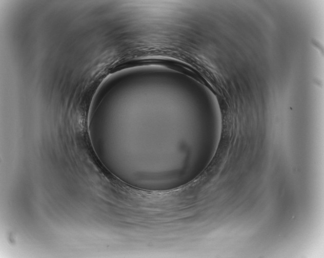 X0000099480039200805091618