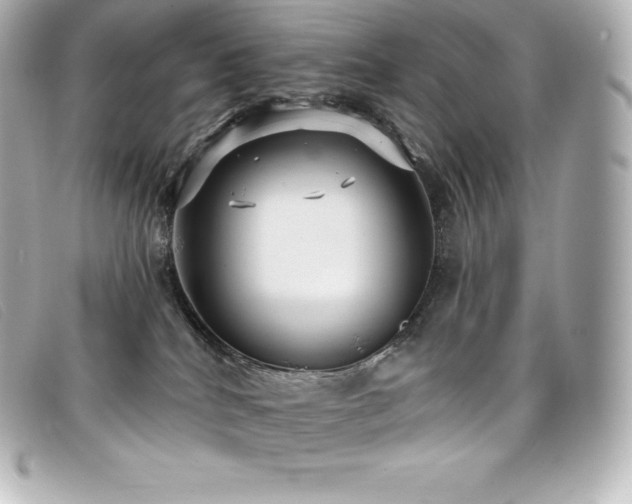 X0000099480040200805091618