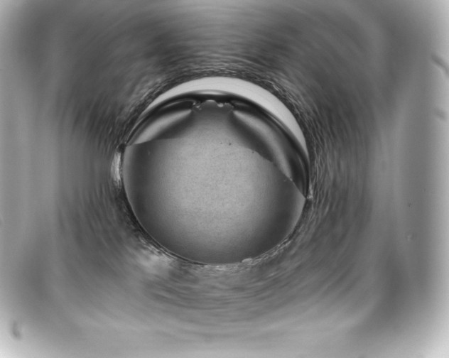 X0000099480041200805091618
