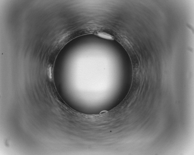 X0000099480042200805091618