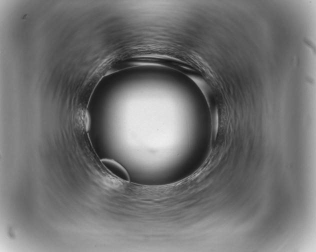 X0000099480045200805091618